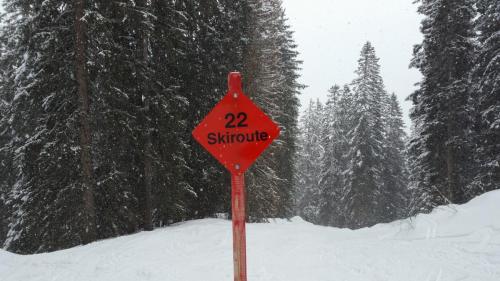 Skiroute Gauertal (9)