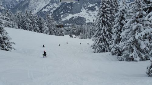 Skitraining 20-01 (1)