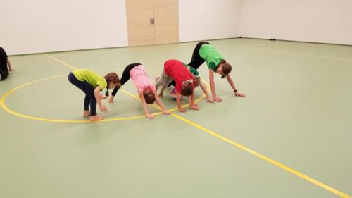 Konditionstraining Halle 2 2019 (14)