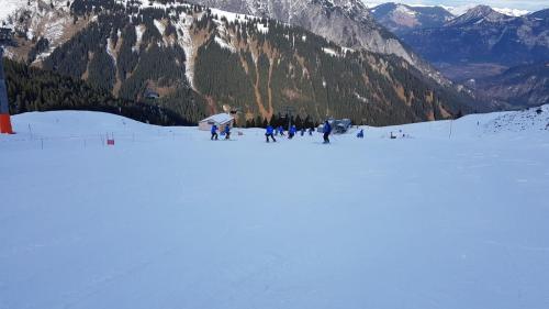 Skitraining Dez-Jän (07)